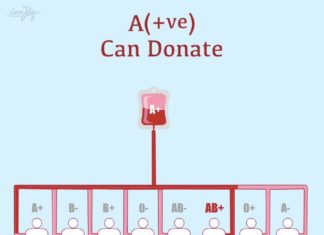 Semua yang perlu Anda ketahui tentang jenis darah